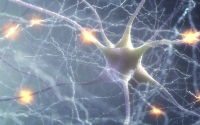 Actinogen Medical attracts US biotech investor as Alzheimer’s XanADu study remains on track