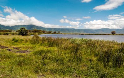 Adavale Resources granted ex-BHP tenements near Kabanga nickel project