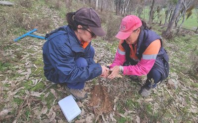 Adelong Gold expands portfolio with acquisition of high-grade Apollo project