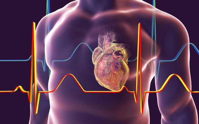 Admedus recruits Cardiva to distribute ADAPT tissue scaffolds in Spain, Portugal