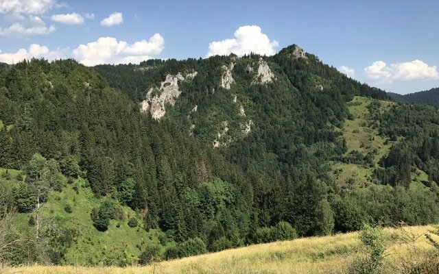 Adriatic Metals records more high-grade drill results at Rupice