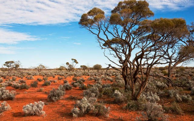 Aeromagnetic survey detects similar Stanton cobalt targets for Northern Cobalt at Wollogorang