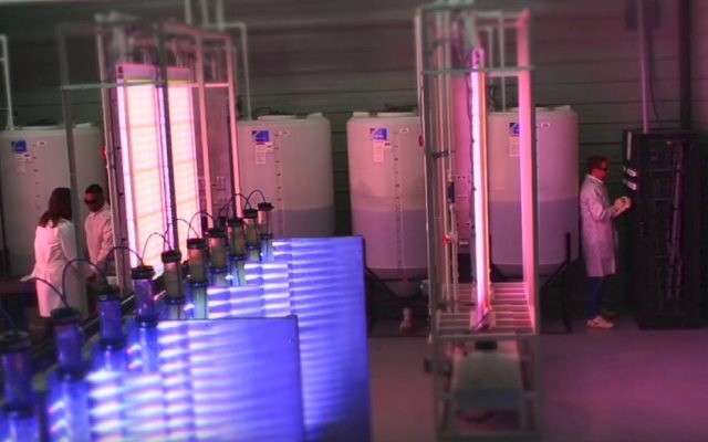 Affinity Energy & Health welcomes new addition to FeedMe algae product range