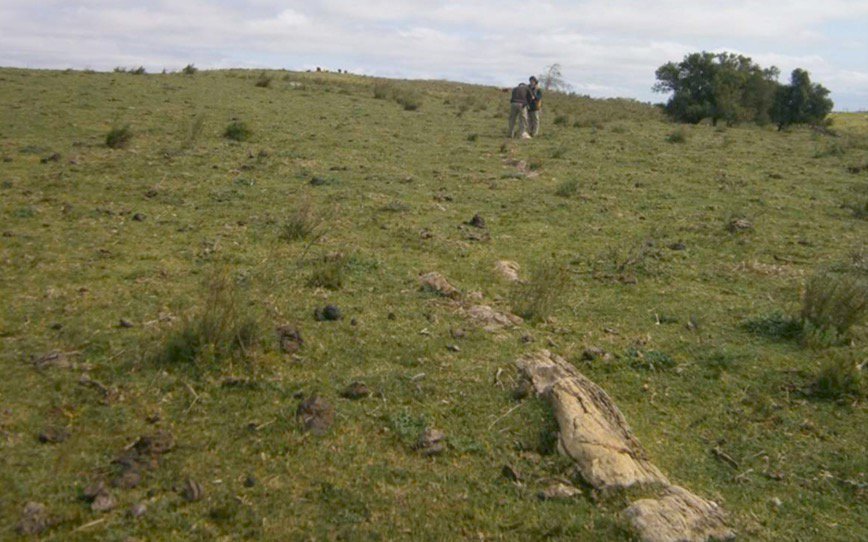 Aguia Resources dusts off old drill results, confirms rare earths in Brazil