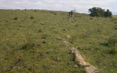 Aguia Resources dusts off old drill results, confirms rare earths in Brazil