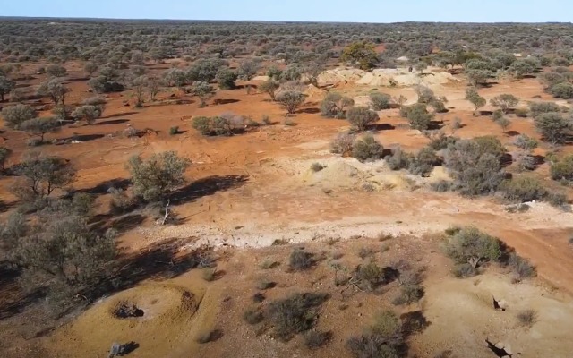 Airborne survey helps IRIS Metals identify high-priority targets at Kookynie gold project