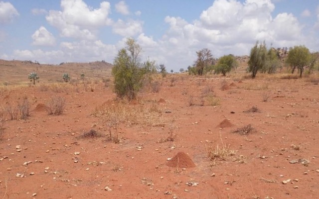 Akora Resources uncovers 68.03% iron in unexplored Satrokala prospect