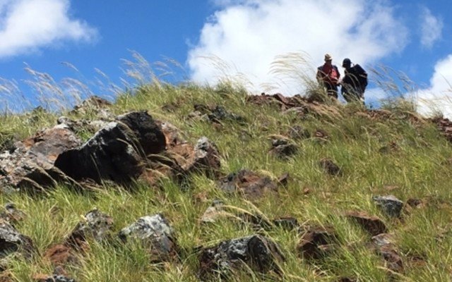 Akora Resources unveils very high grades of iron from surface at Bekisopa