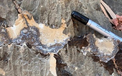 Albion Resources to go ahead with loyalty option plan as reward to initial shareholders