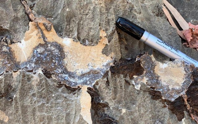 Albion Resources reports visible zinc-lead at Lennard Shelf project