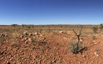 Albion Resources uncovers high-grade copper, lead and zinc results from Pillara East review