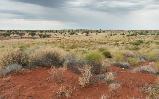 Alchemy Resources locks-in cobalt and nickel projects, while gold results disappoint