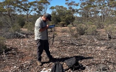 Alchemy Resources discovers new pegmatite bodies at Karonie lithium project