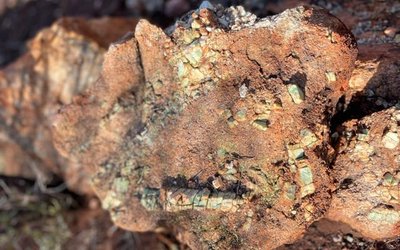 Alchemy Resources identifies high-priority drill targets at Karonie lithium-gold project