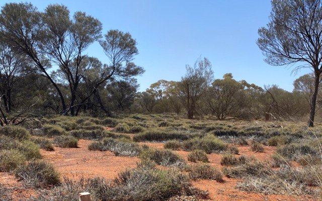 Aldoro Resources brings more tech to bear to de-risk Narndee project