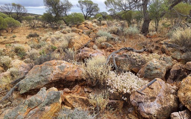 Aldoro Resources has rising hopes for rubidium find at Wyemandoo