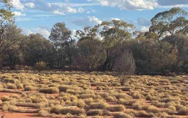 Aldoro Resources confirms walk-up, drill-ready targets at Narndee nickel-copper-PGE project