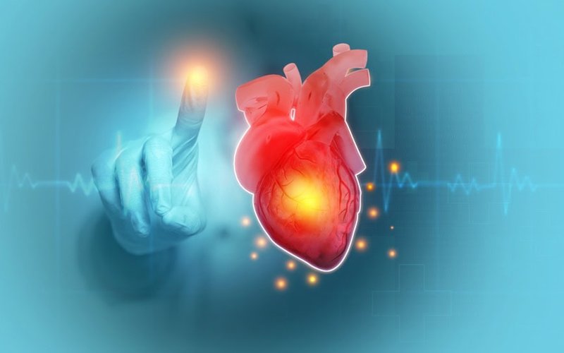 Algorae Pharma’s drug AI-168 shows cardioprotection, outperforms beta blockers in pre-clinical studies of proliferation