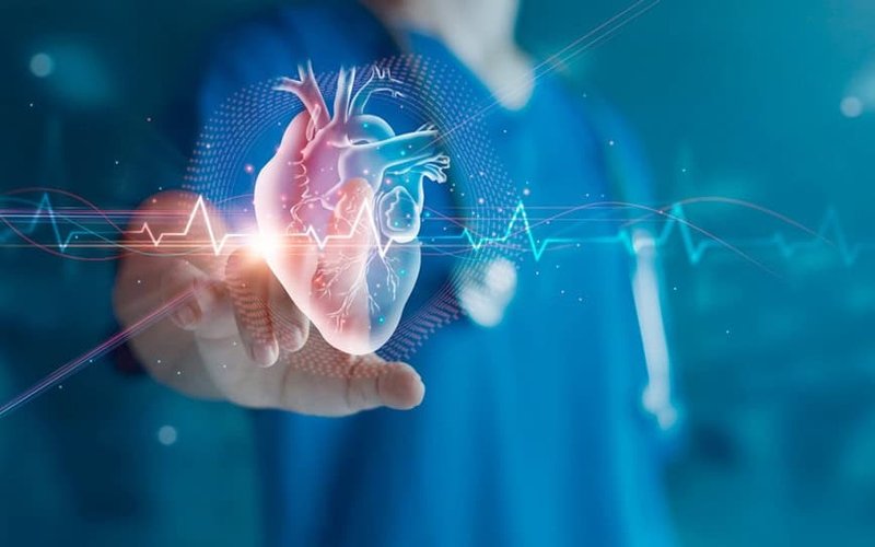 Algorae Pharmaceuticals partners with Monash University to expand cardiovascular drug development