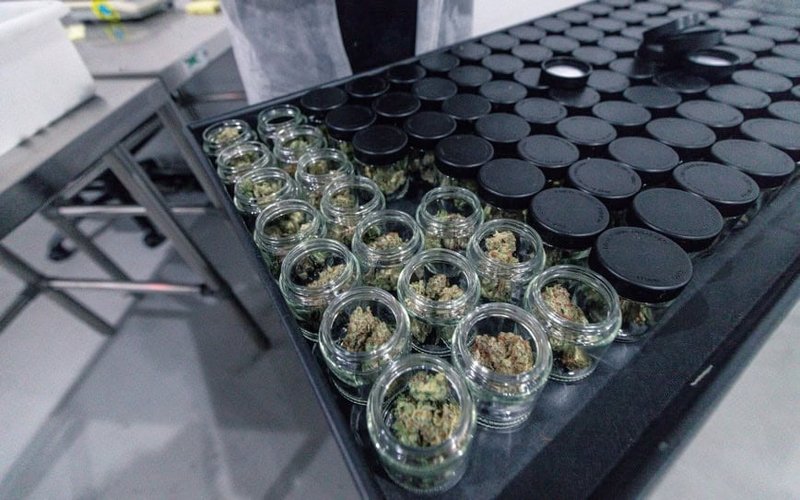 Algorae Pharmaceuticals 将大麻素存储添加到医学研究计划中