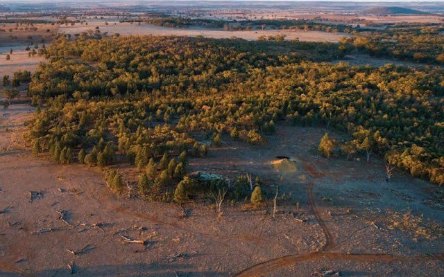 Alkane Resources reports high-grade gold during regional drilling at Tomingley