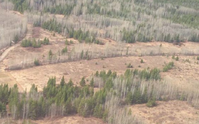 Allegiance Coal joins forces with Itochu to develop Tenas project