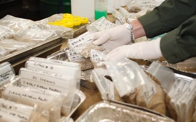 Alliance Nickel’s NiWest project gains momentum with Samsung SDI offtake agreement