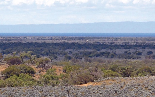 Alligator Energy adds to South Australian uranium portfolio as spot price holds gains