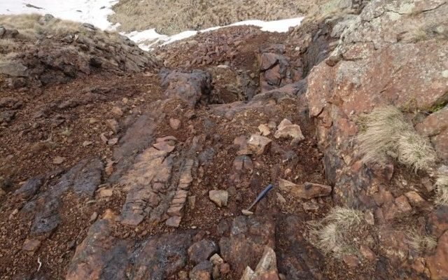 Alligator Energy unearths high-grade nickel and cobalt at Piedmont, prepares uranium drill program