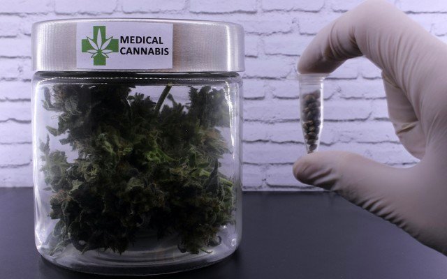 Althea continues medicinal cannabis industry expansion mission in Europe