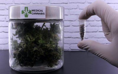 Althea continues medicinal cannabis industry expansion mission in Europe