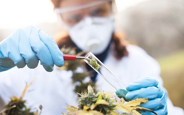 Althea joins the ASX as Australia’s latest medicinal cannabis company