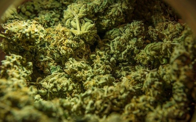 Althea Group bags medical cannabis export licence