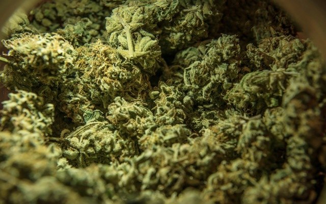 Althea Group bags medical cannabis export licence