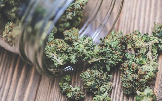 Althea Group bags record revenues as medicinal cannabis sales continue growing worldwide