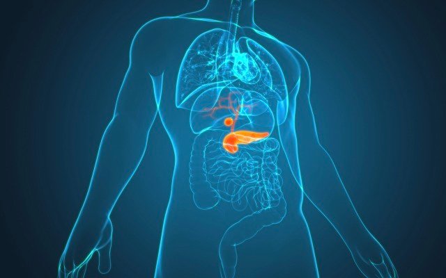 Amplia Therapeutics partners with Garvan Institute to develop pancreatic cancer drug