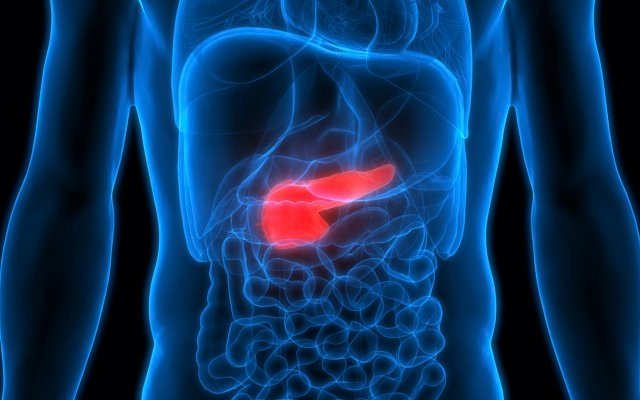 Amplia Therapeutics receives FDA orphan drug designation for pancreatic cancer