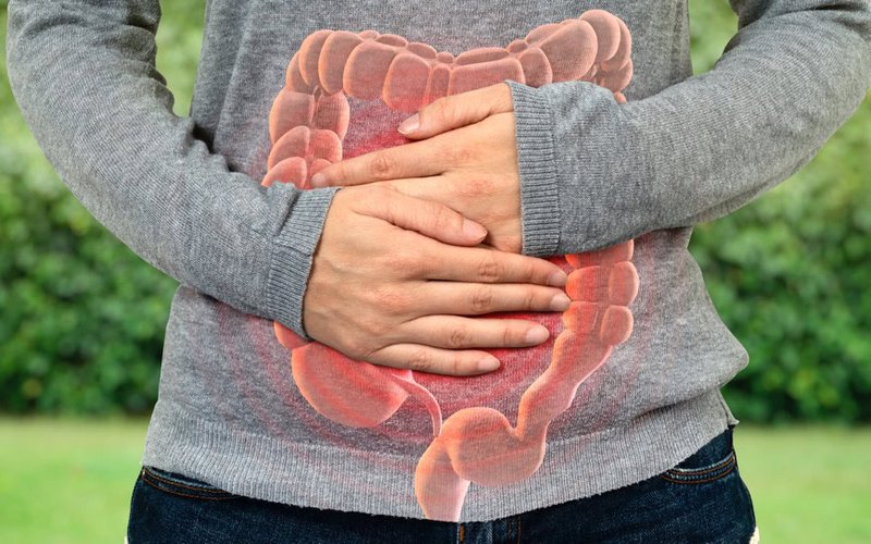 Anatara Lifesciences embarks on Stage 2 of GaRP trial for treatment of irritable bowel syndrome