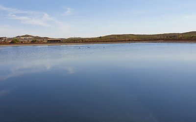 Anax Metals unveils mineral resource estimate for high-grade Evelyn deposit