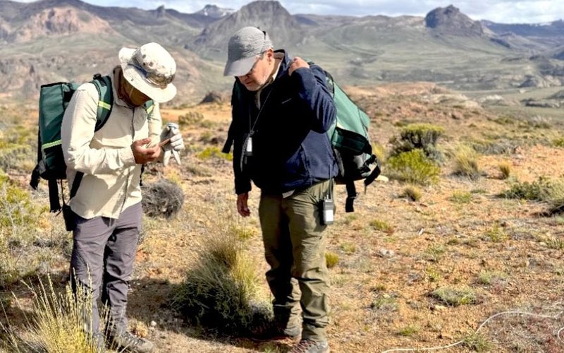 Andean Silver launches largest exploration campaign at Cerro Bayo silver-gold project in over 15 years