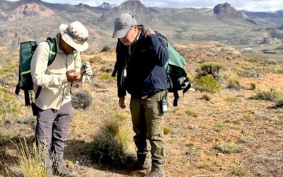 Andean Silver launches largest exploration campaign at Cerro Bayo silver-gold project in over 15 years