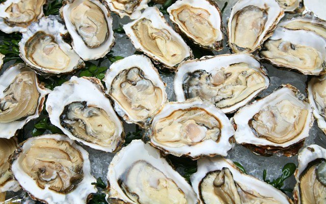 Angel Seafood disrupts oyster market with innovative commercial strategy