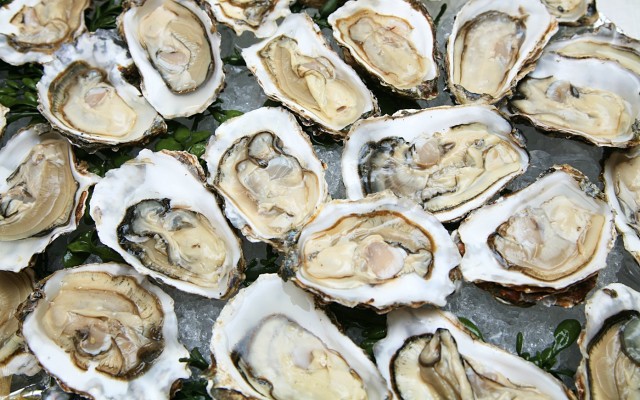 Angel Seafood posts record first-half oyster sales boosted by retail demand