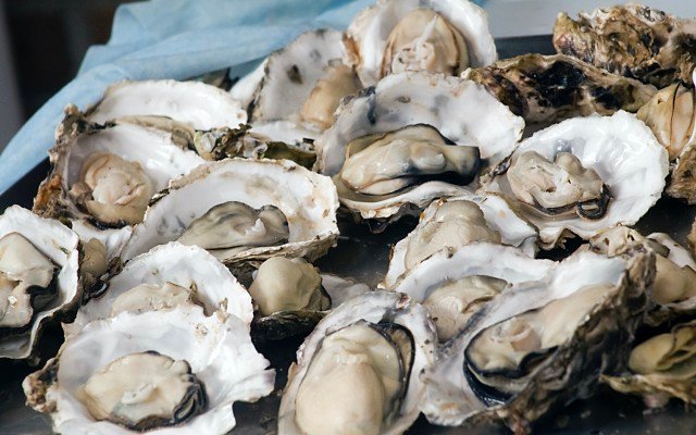Angel Seafood trials ‘summer oysters’ to boost inventory and meet late summer demand