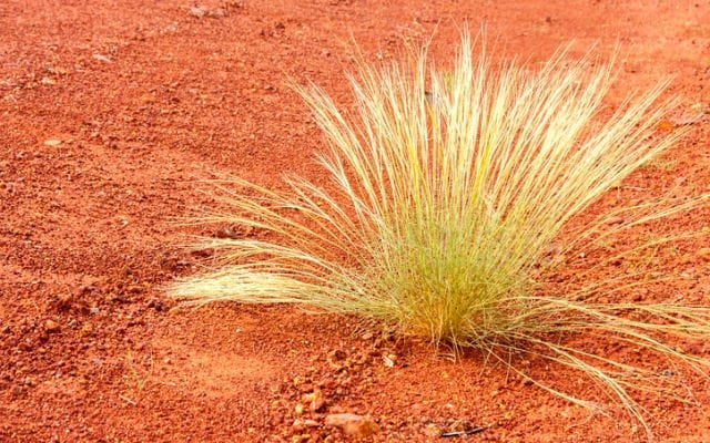 Approvals clear the way for Gladiator Resources to progress gold exploration at North Arunta