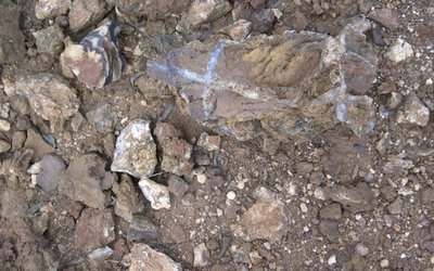 Ardea Resources discovers extensive scandium in historic drill samples