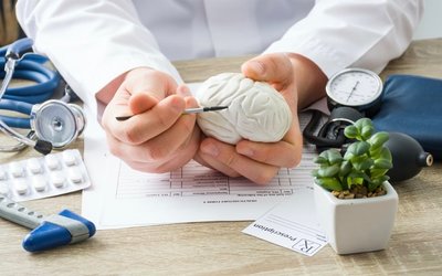 Argenica steps closer to clinical studies of stroke drug ARG-007 following positive preclinical safety results