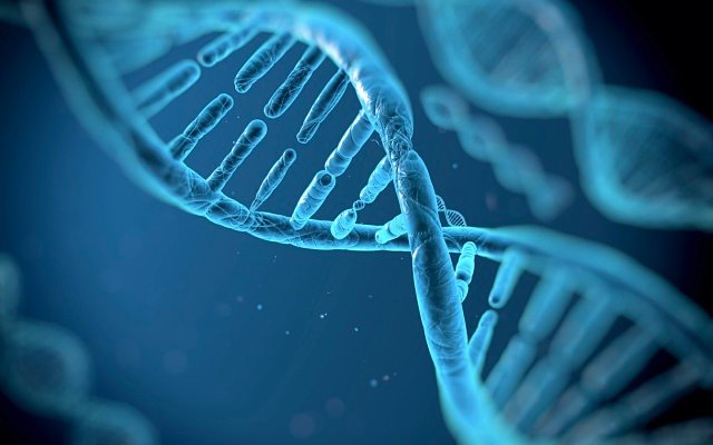 Argenica Therapeutics moves closer to clinical trials after completing genotoxicity studies on ARG-007