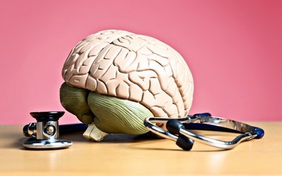 Argenica Therapeutics moves closer to phase 1 in-human trials of ARG-007 for stroke