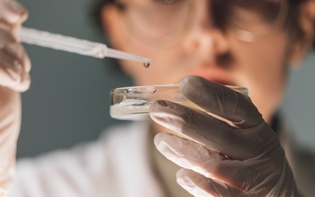 Argenica Therapeutics reports positive findings from peer-reviewed study of stroke drug ARG-007